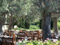 Cyprus Hotels: Anassa Hotel - Amphora Restaurant
